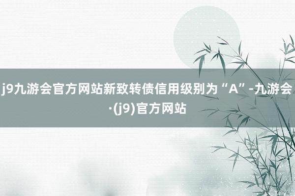 j9九游会官方网站新致转债信用级别为“A”-九游会·(j9)官方网站