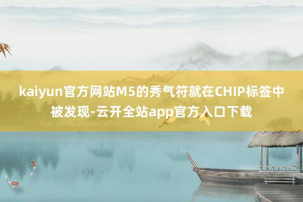 kaiyun官方网站M5的秀气符就在CHIP标签中被发现-云开全站app官方入口下载